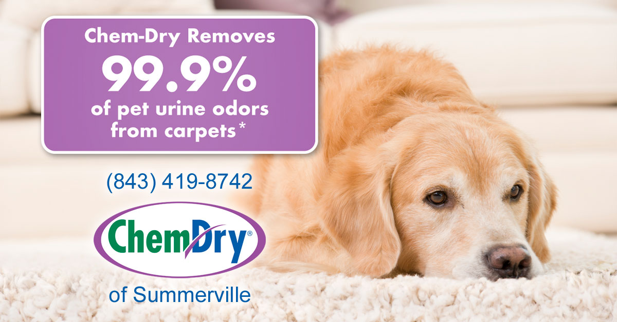 Carpet Cleaning, Chem-Dry of Summerville